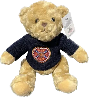 10" Navy Jumper Golf Teddy