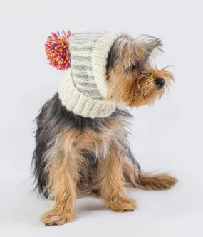 Alqo Wasi Rainbow Alpaca Dog Hat