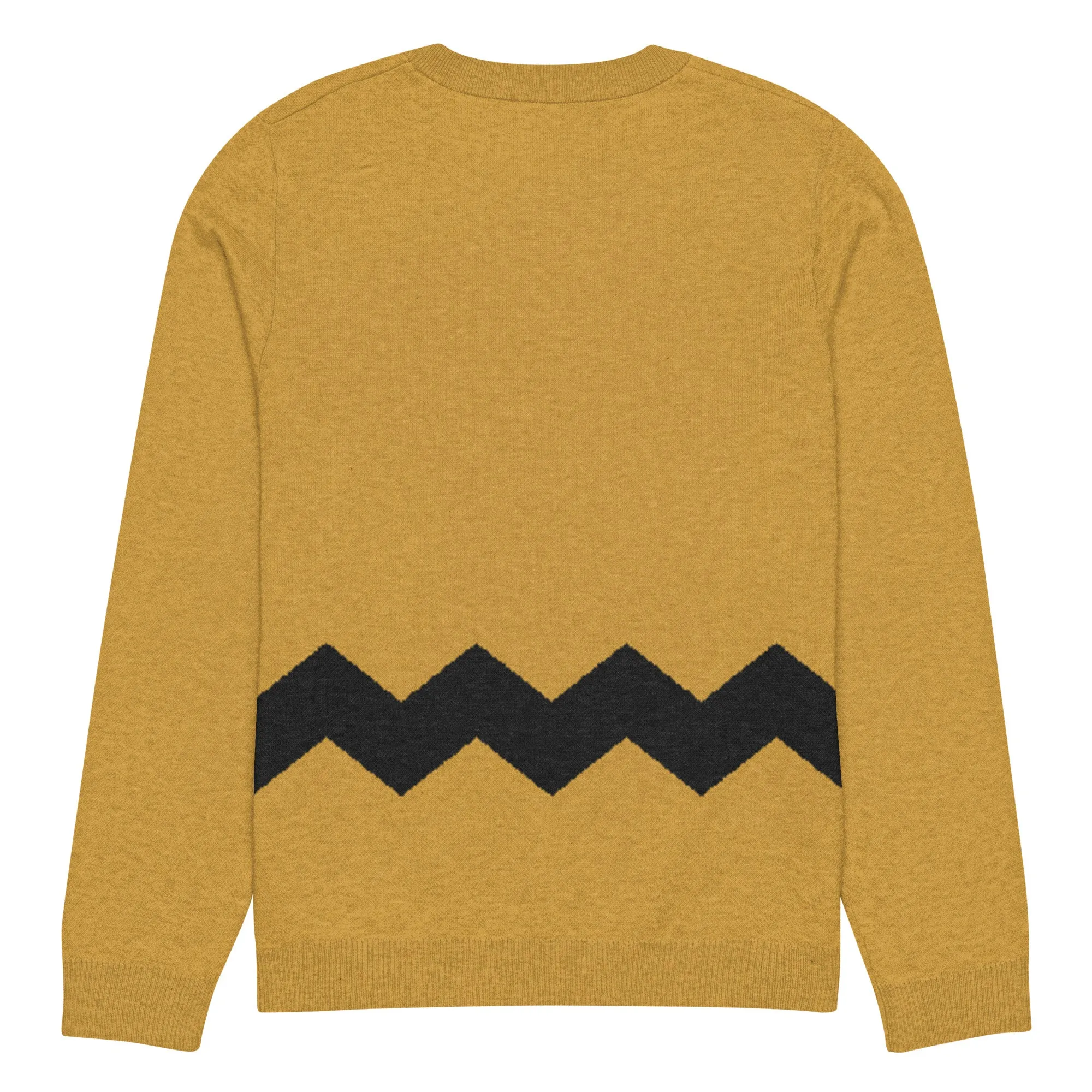 Chuck Brown Knitted Sweater