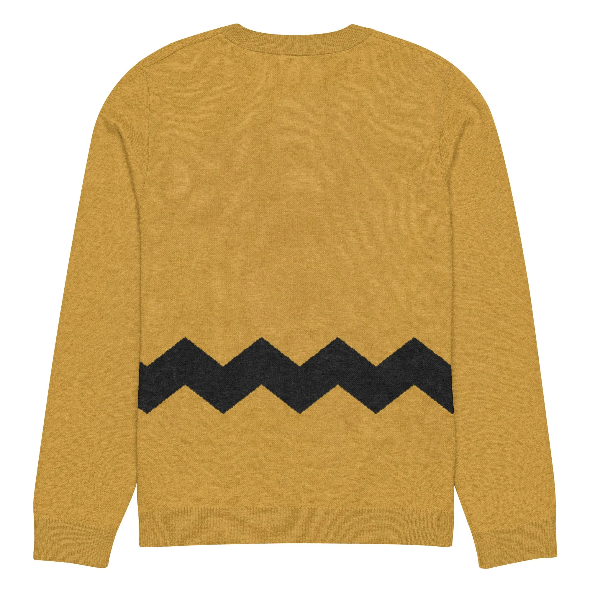 Chuck Brown Knitted Sweater