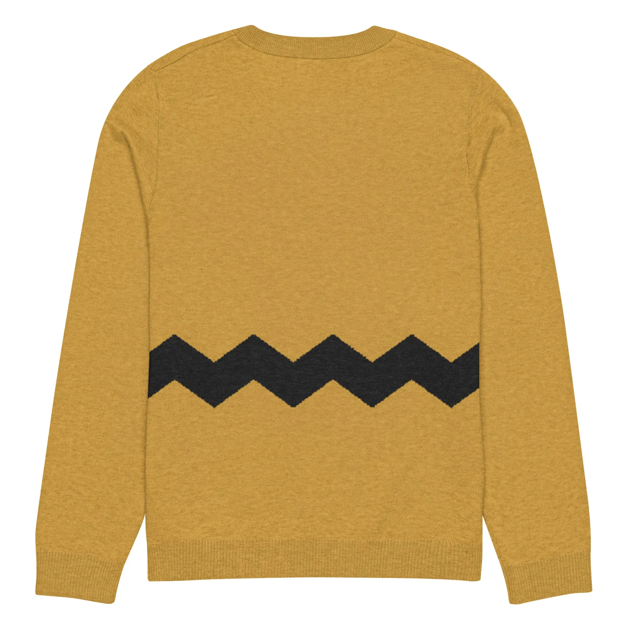 Chuck Brown Knitted Sweater