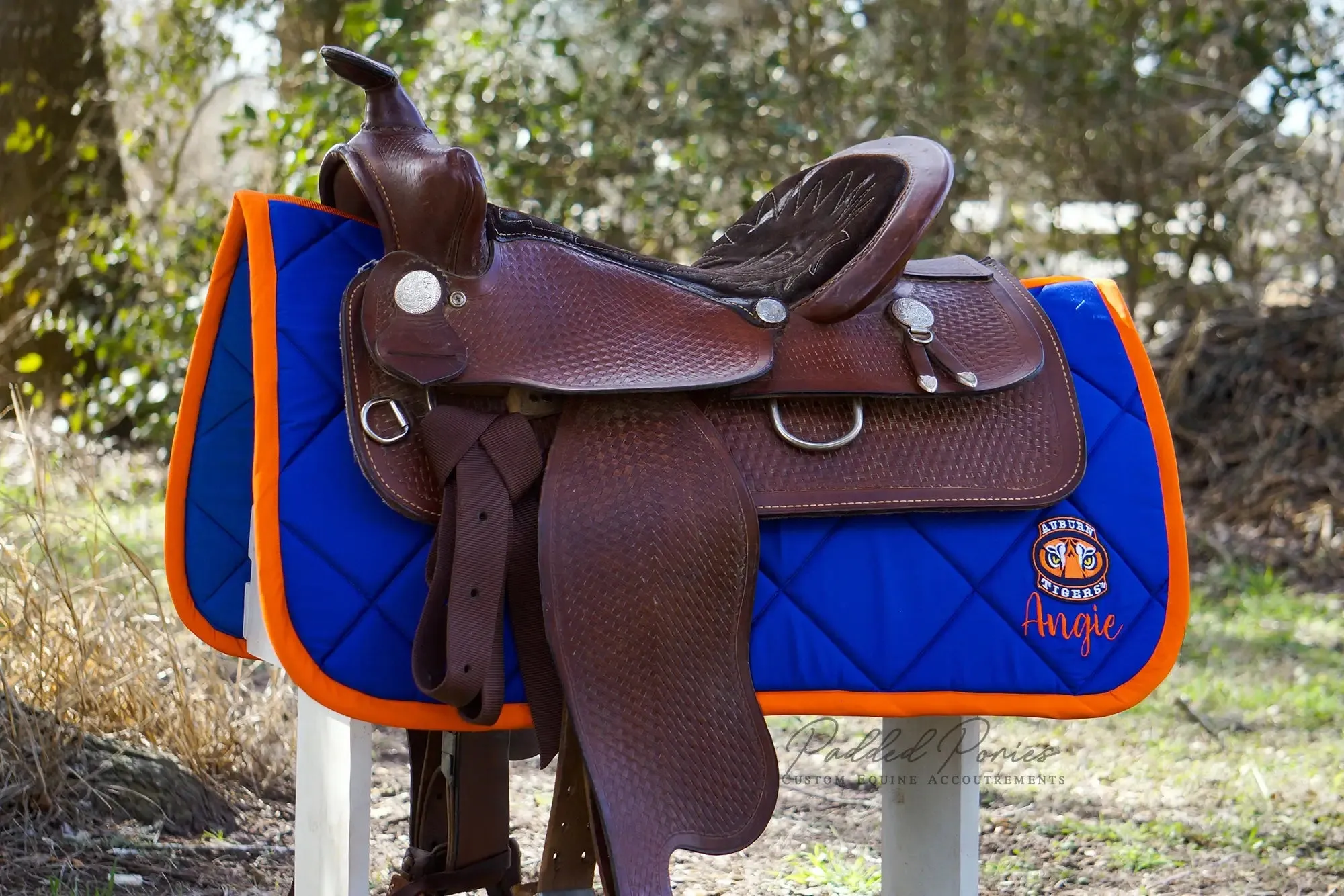 Custom Collegiate Patch Saddle Pad