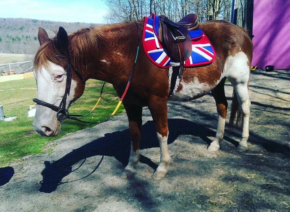 Custom Country Flag Saddle Pad