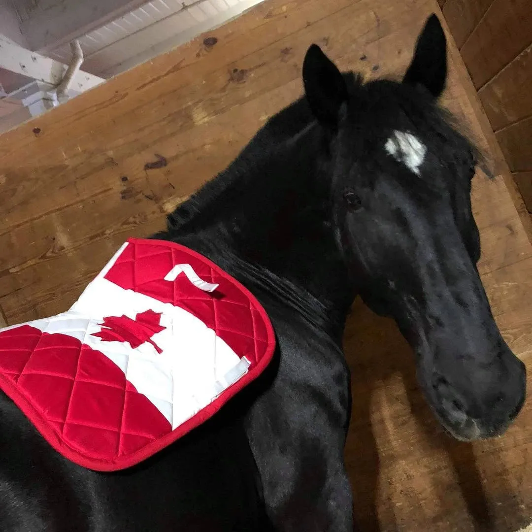 Custom Country Flag Saddle Pad