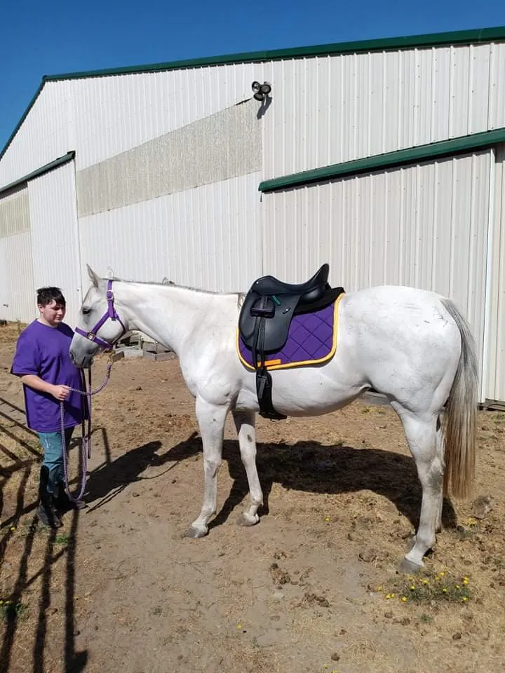 Custom Solid Color Saddle Pad