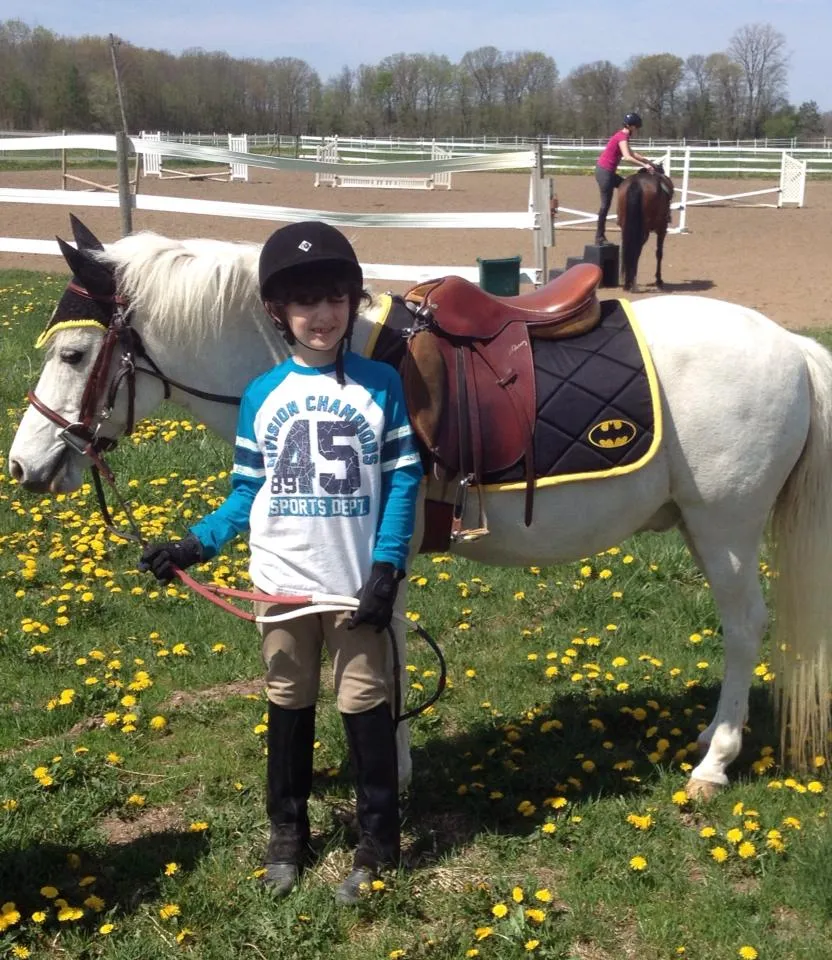 Custom Superheroes Patch Saddle Pad