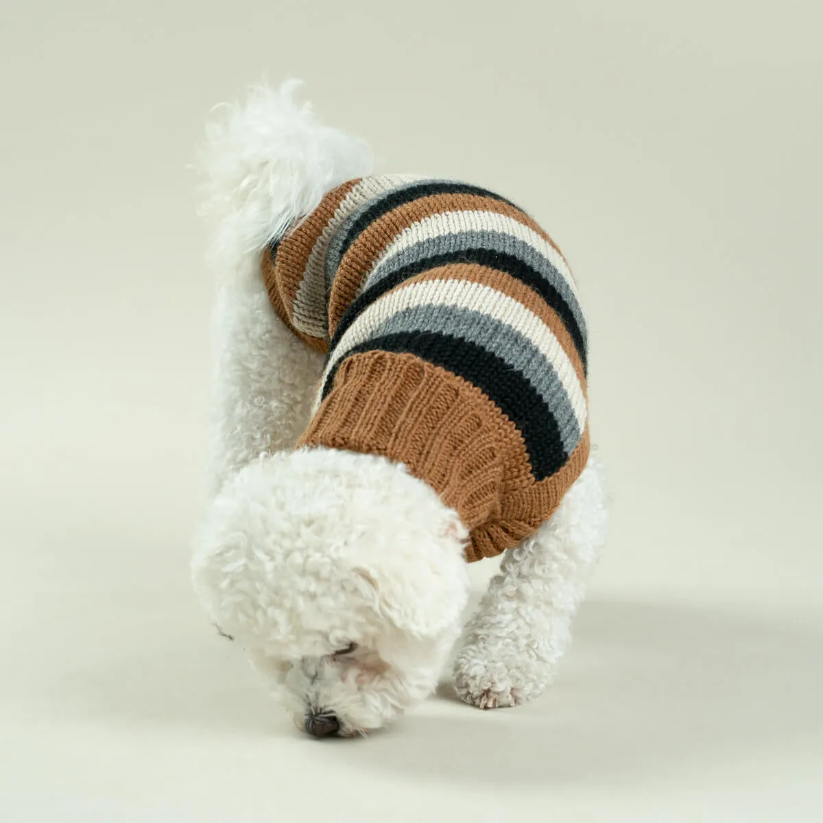 Dog Jumper - Alqo Wasi Native Stripes Alpaca Sweater