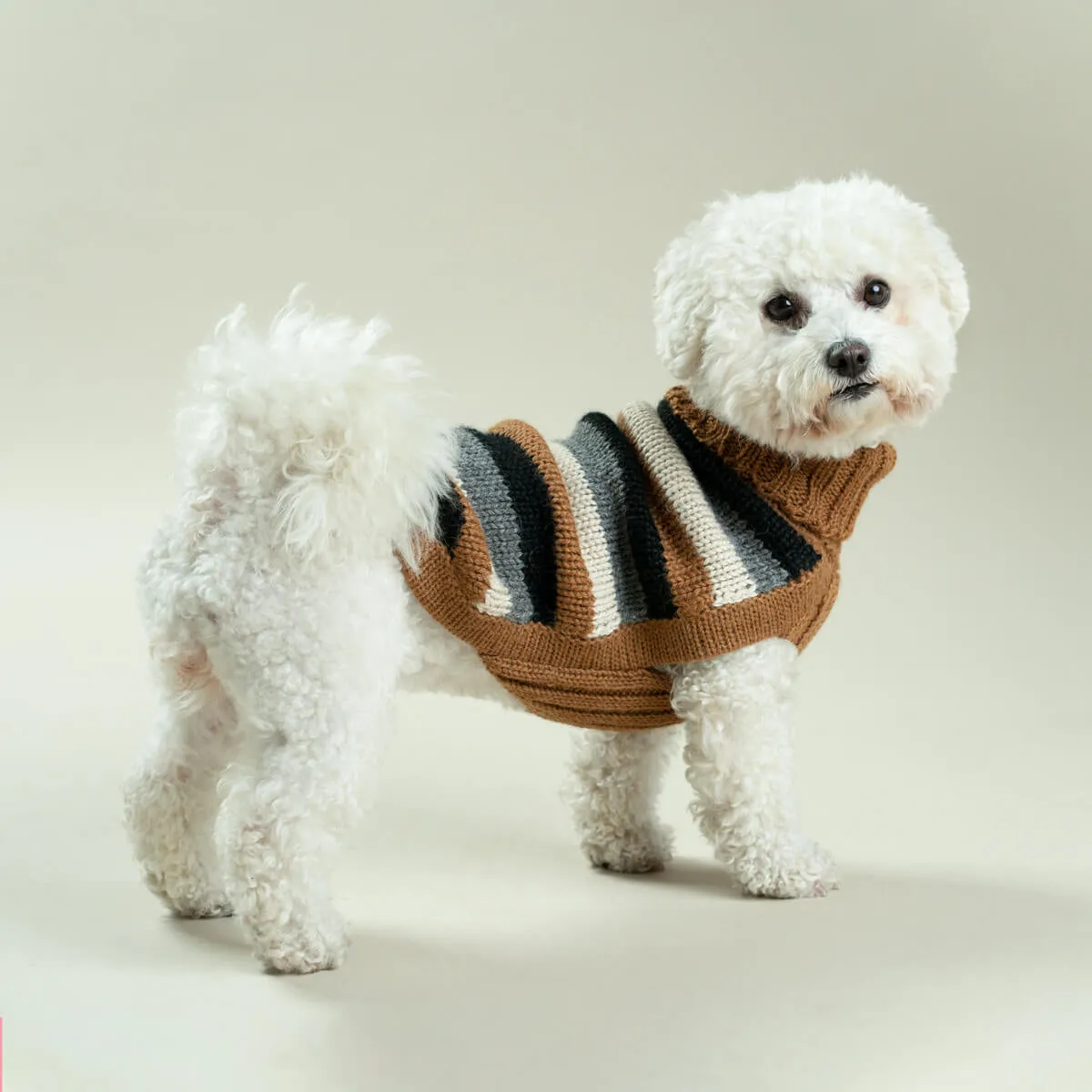 Dog Jumper - Alqo Wasi Native Stripes Alpaca Sweater