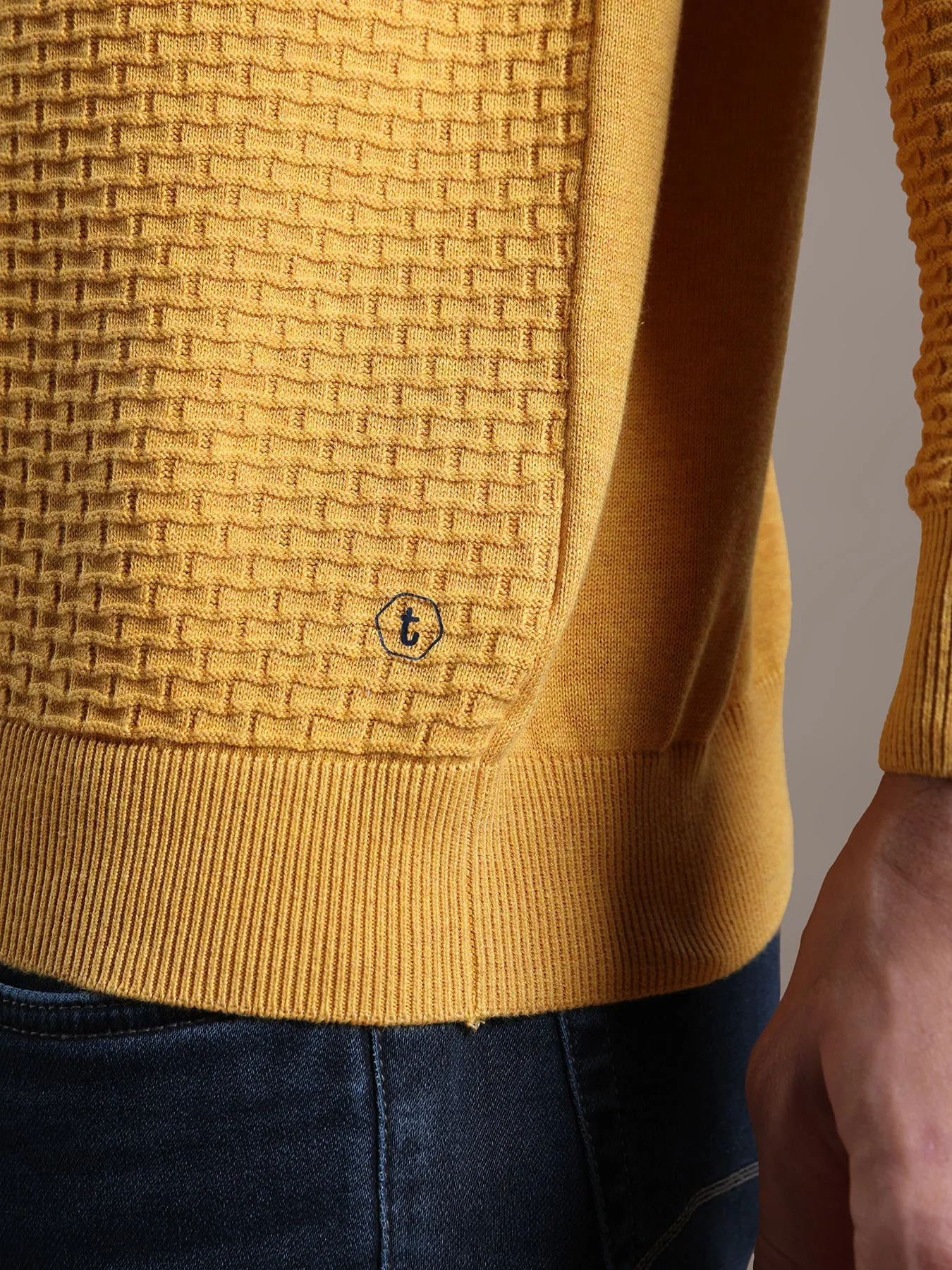 Knitted Mustard Yellow Striped Regular Fit Full Sleeve Casual Pullover