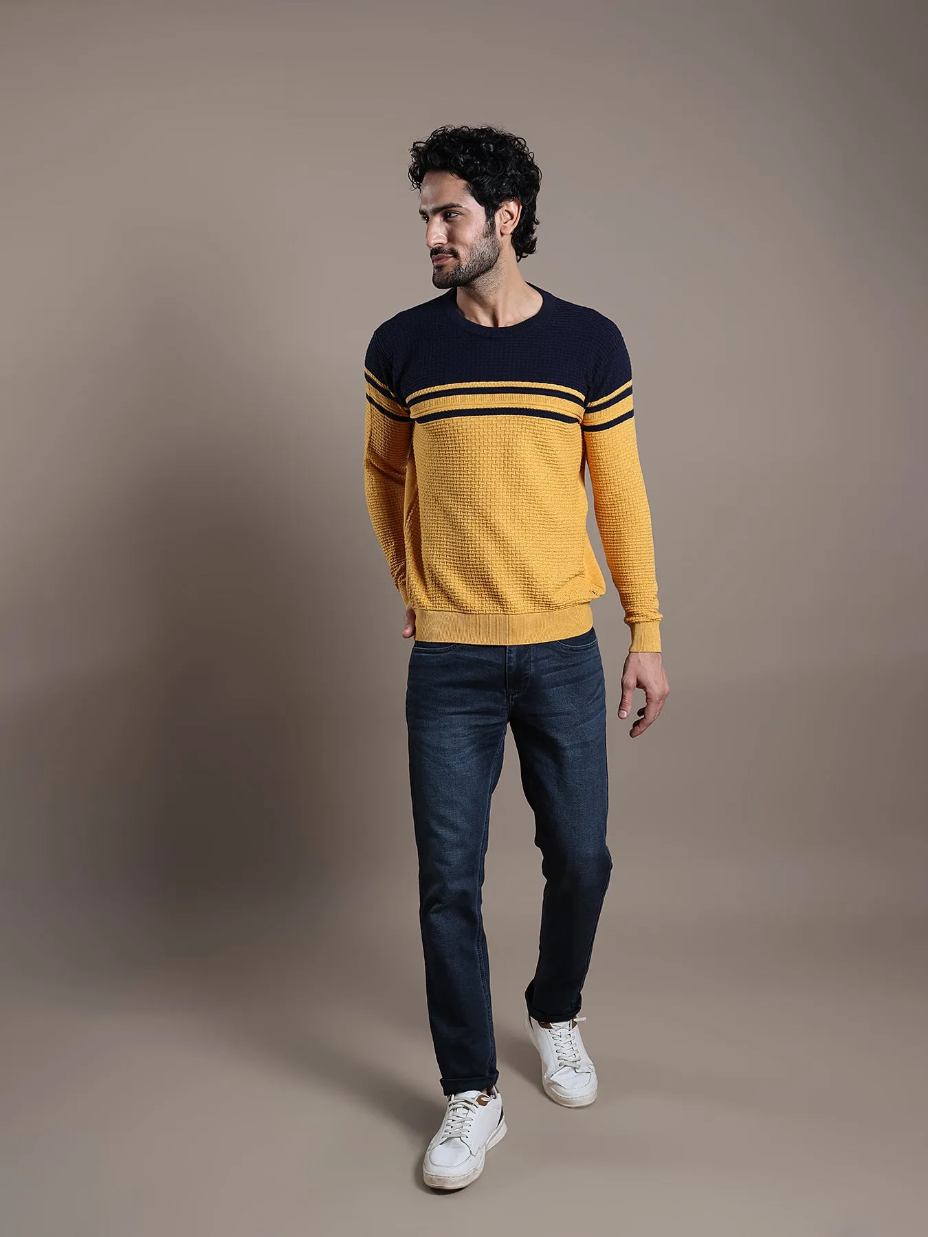 Knitted Mustard Yellow Striped Regular Fit Full Sleeve Casual Pullover