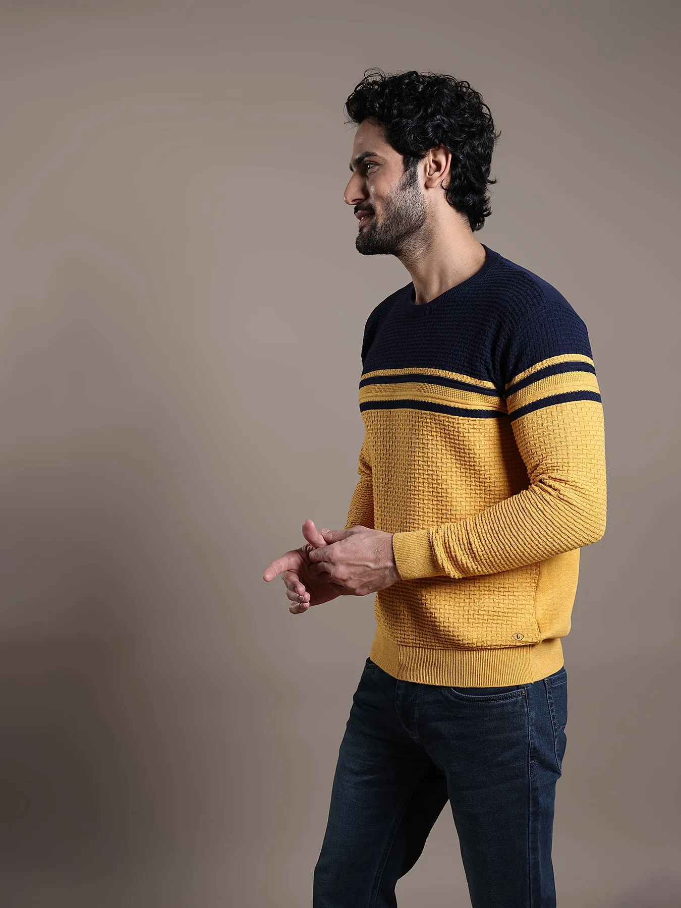 Knitted Mustard Yellow Striped Regular Fit Full Sleeve Casual Pullover