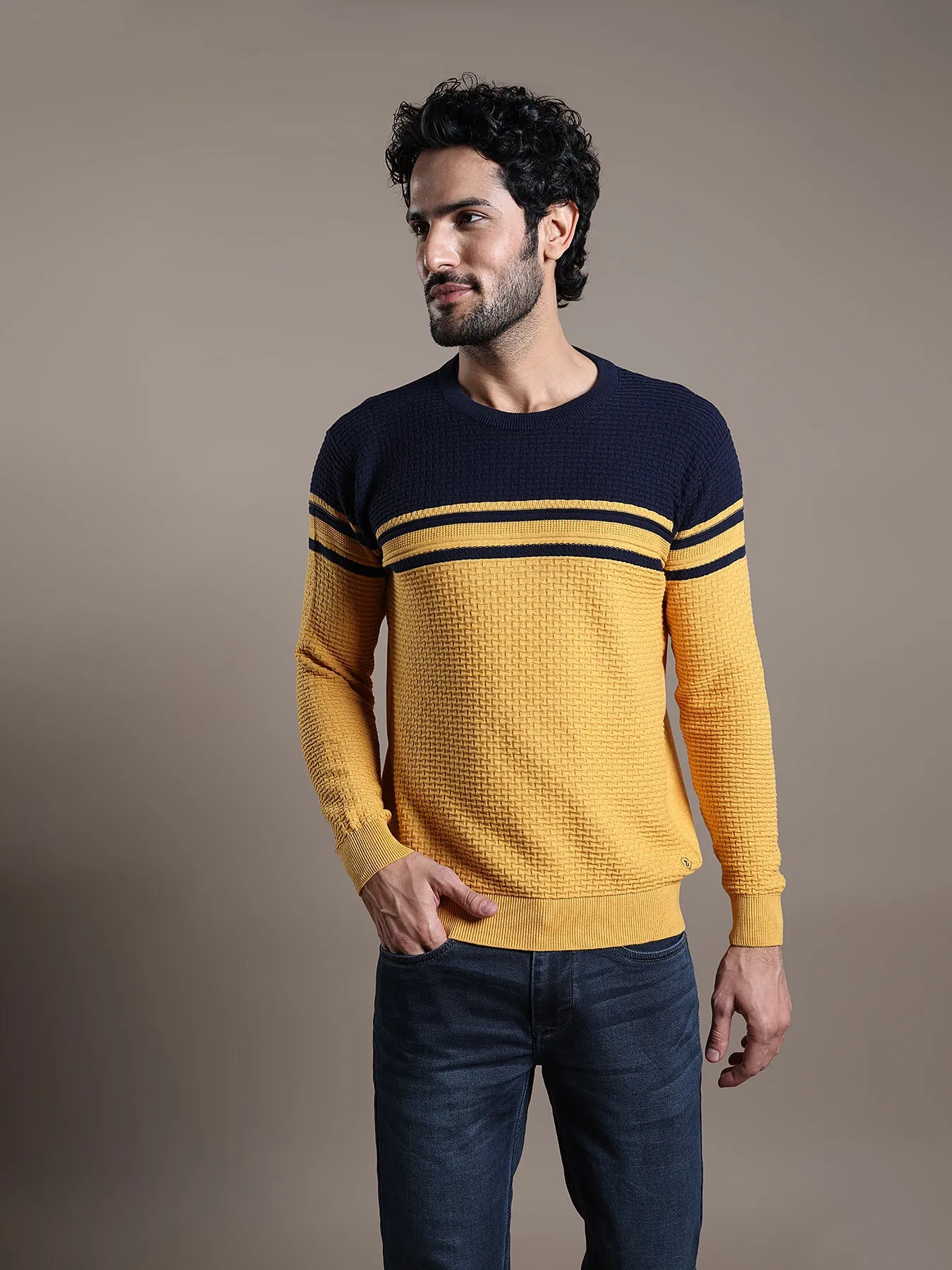 Knitted Mustard Yellow Striped Regular Fit Full Sleeve Casual Pullover