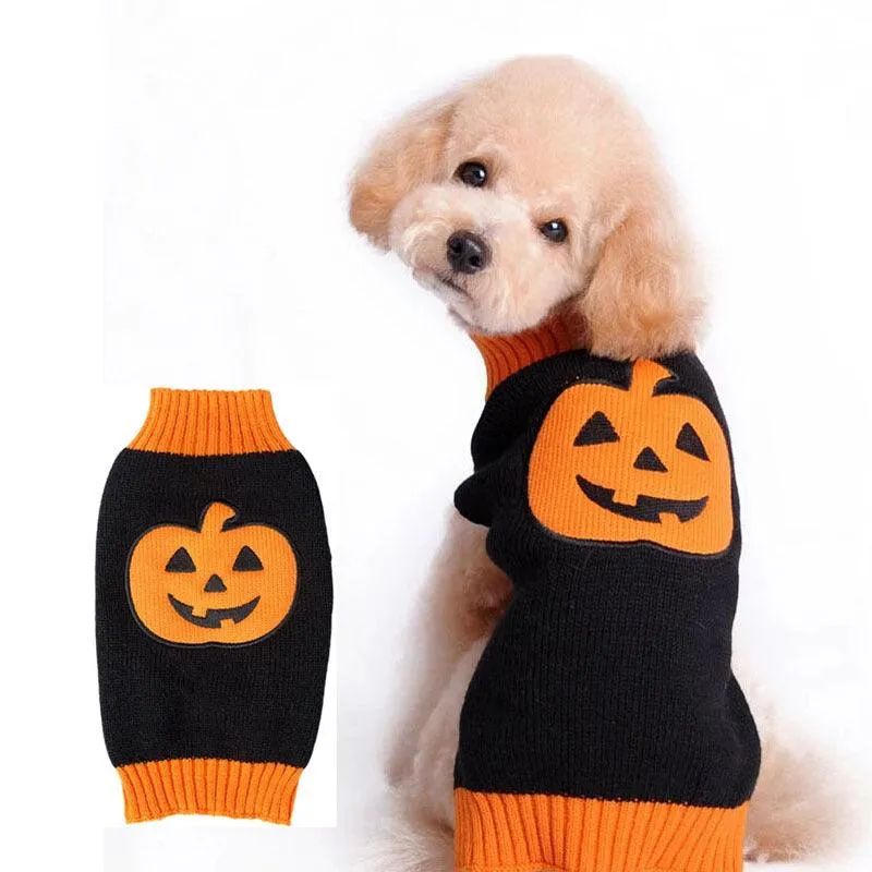 Spooky Pumpkin Pup Sweater by Dog Hugs Cat