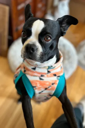 The Orange Mantis Dog Sweater